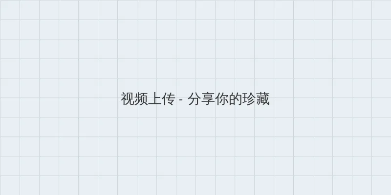 久久精品这里精品6 视频上传区域